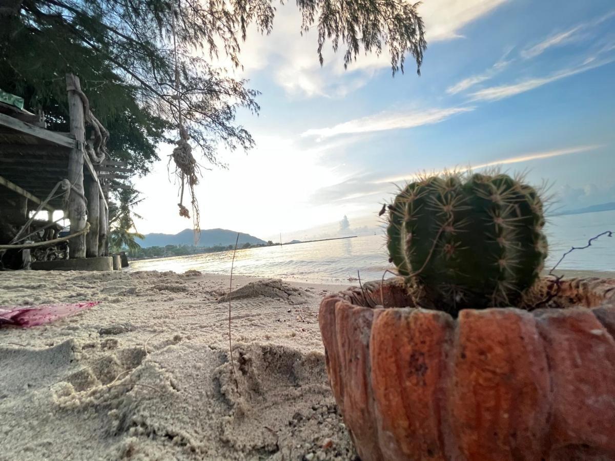 Hotel Phangan Dream Box Baan Tai Exterior foto